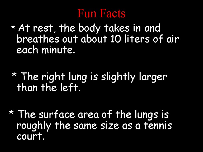 Fun Facts  * At rest, the body takes in and breathes out about